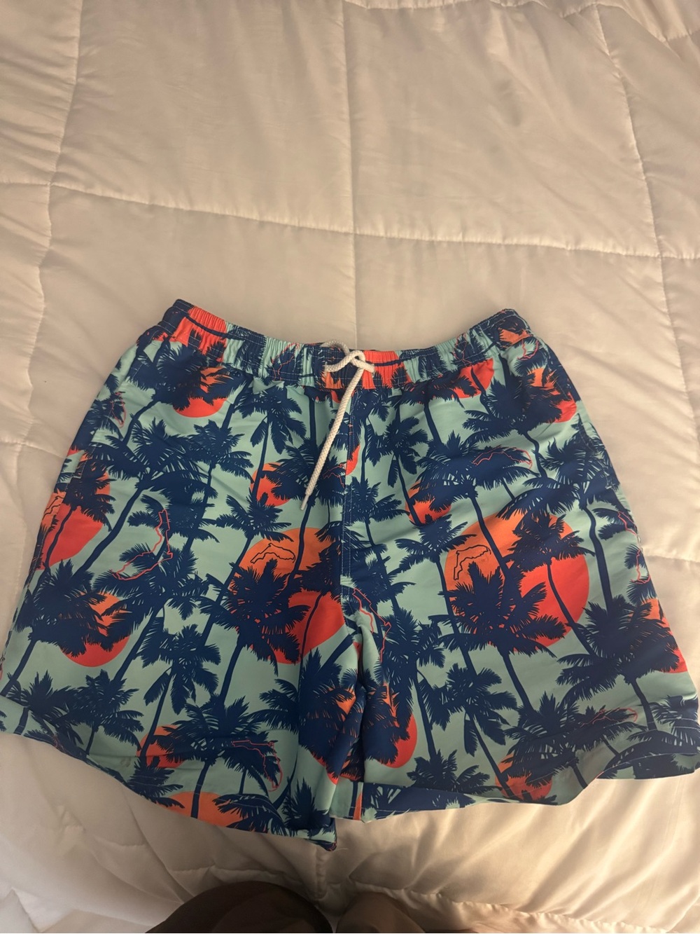 Men’s Teal Palm-Print Swim Shorts